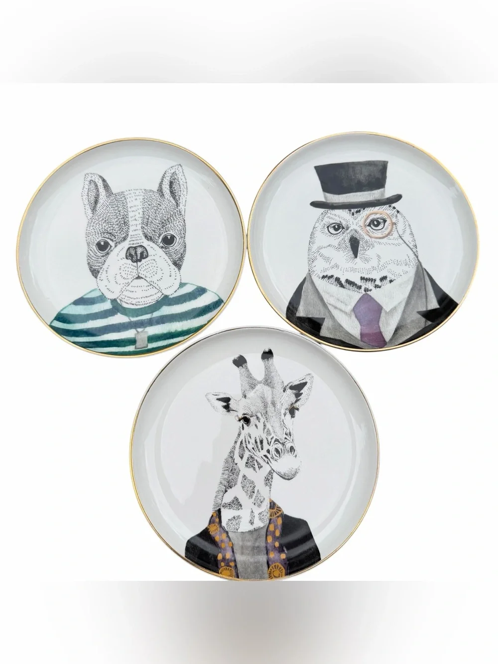 Pier 1 Imports Animal Portrait Plates Set of 3 Dog Owl Giraffe Gold Rim 8”